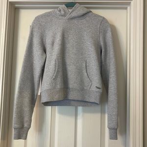 Aritzia cozy fleece hoodie